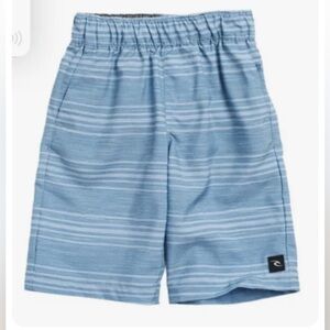 Rip Curl Boys Pierbowl Boardshorts